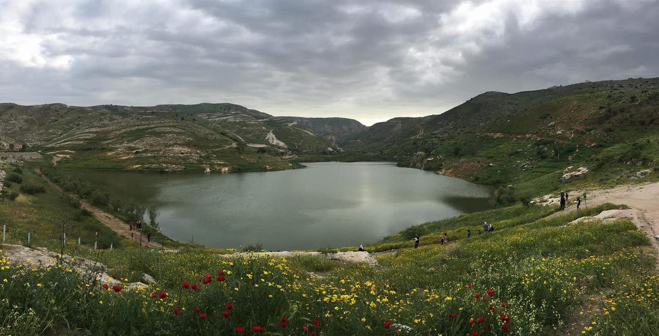 Отель Sharhabil Bin Hasnah Ecopark Qulay'at Экстерьер фото