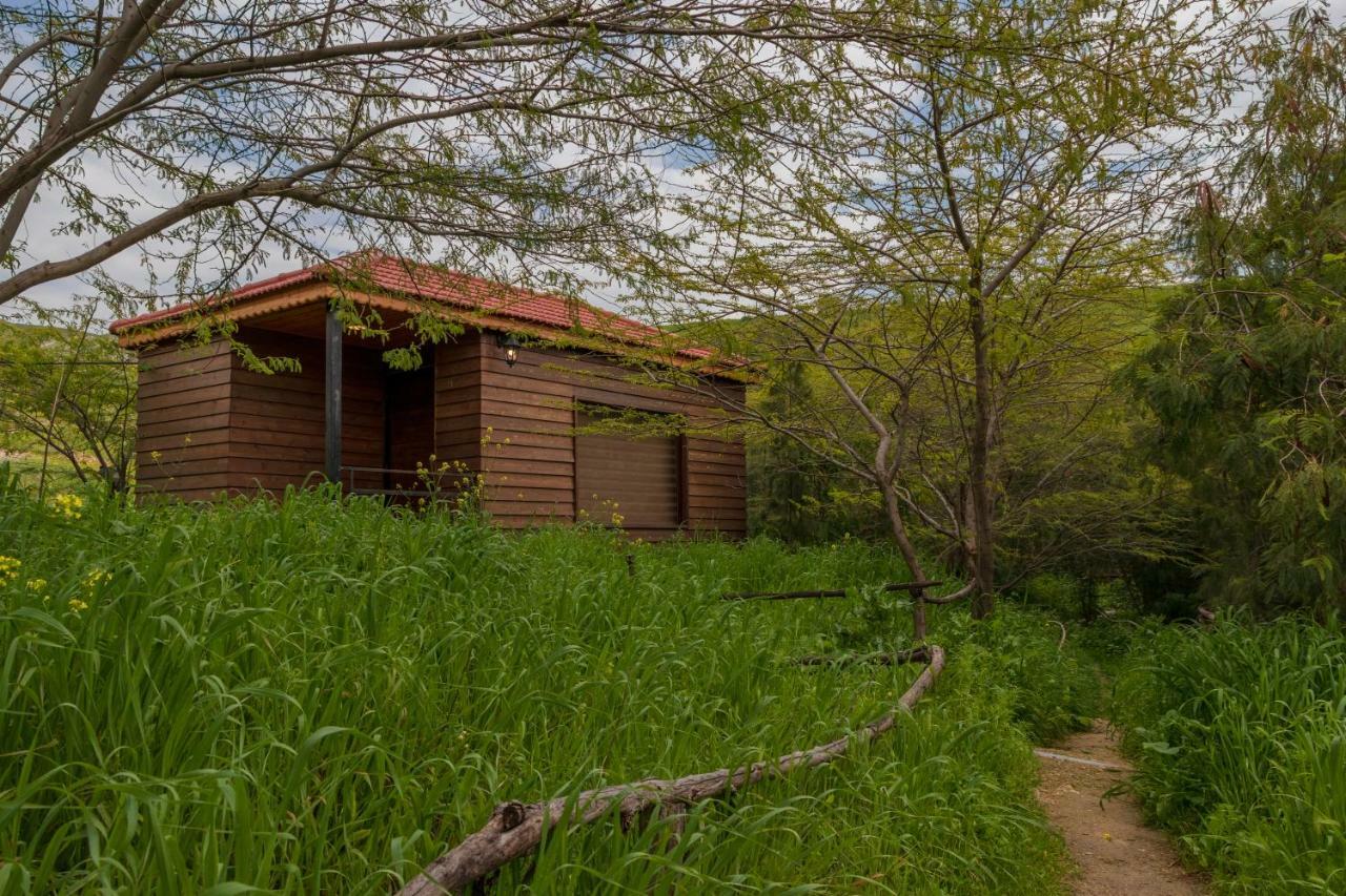 Отель Sharhabil Bin Hasnah Ecopark Qulay'at Экстерьер фото