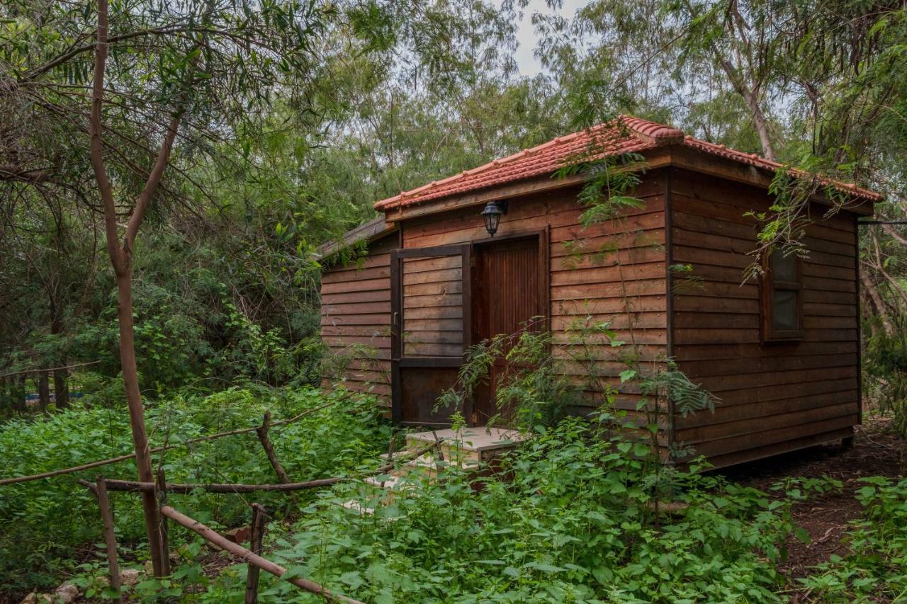 Отель Sharhabil Bin Hasnah Ecopark Qulay'at Экстерьер фото