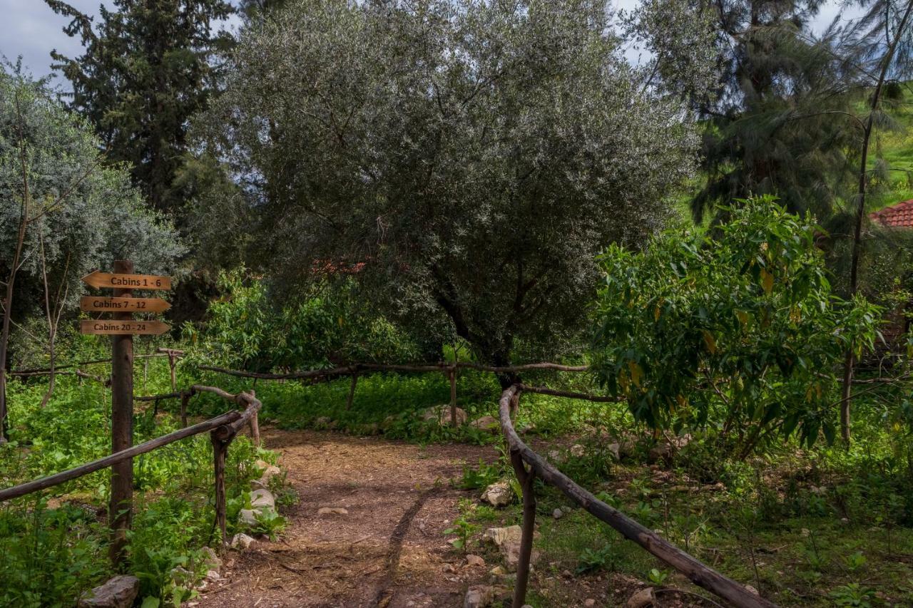 Отель Sharhabil Bin Hasnah Ecopark Qulay'at Экстерьер фото